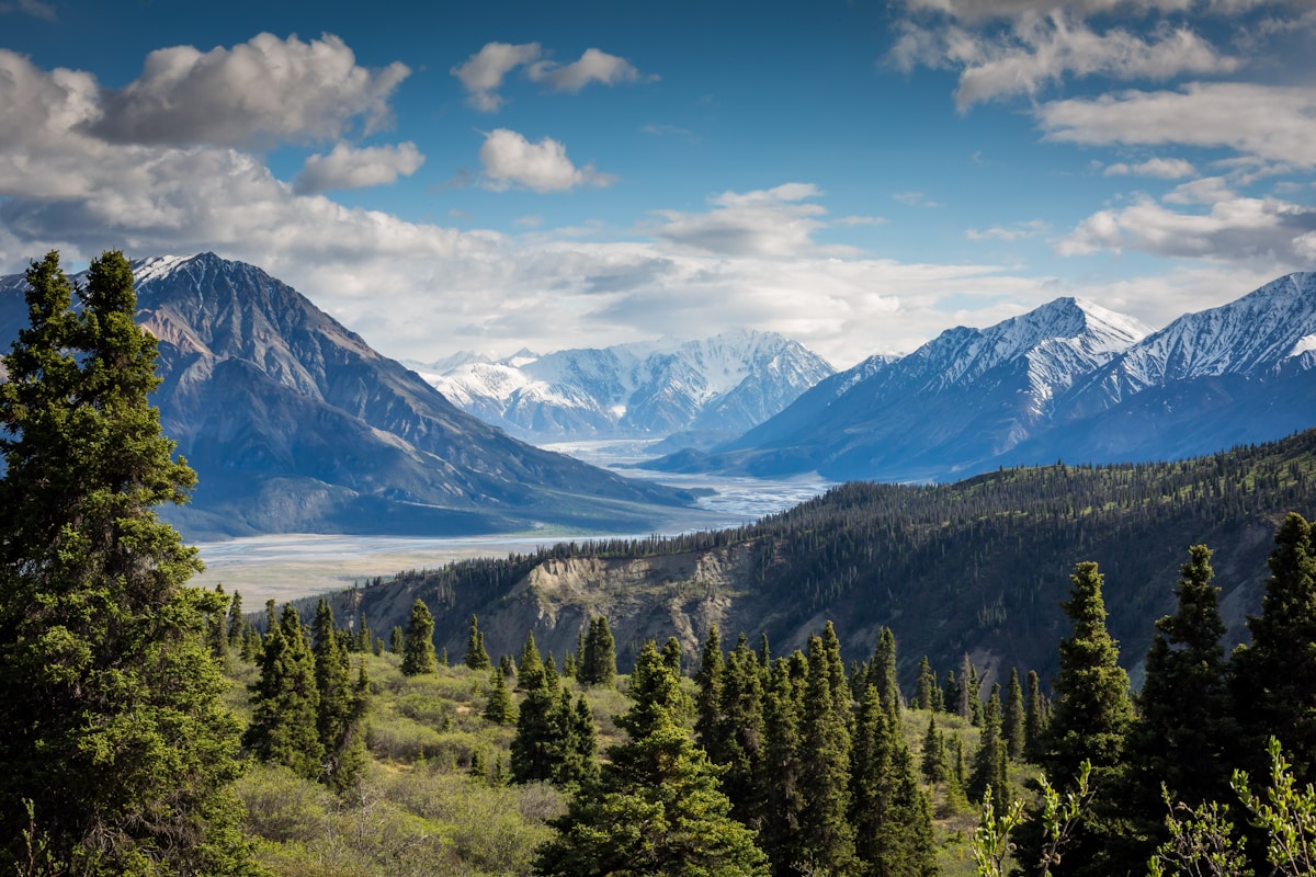 Mountain valley with evergreen forest, braided river, and snow-capped peaks under a blue sky